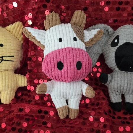 Pet Plush Toy