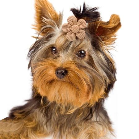Flower Bows (Set of 2)